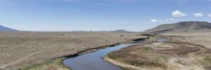 0.27 acres in Antonito, CO (Costilla County) - APN 71615910 Lot 268 (photo 4)